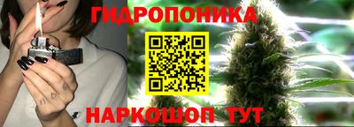крисы Малоярославец